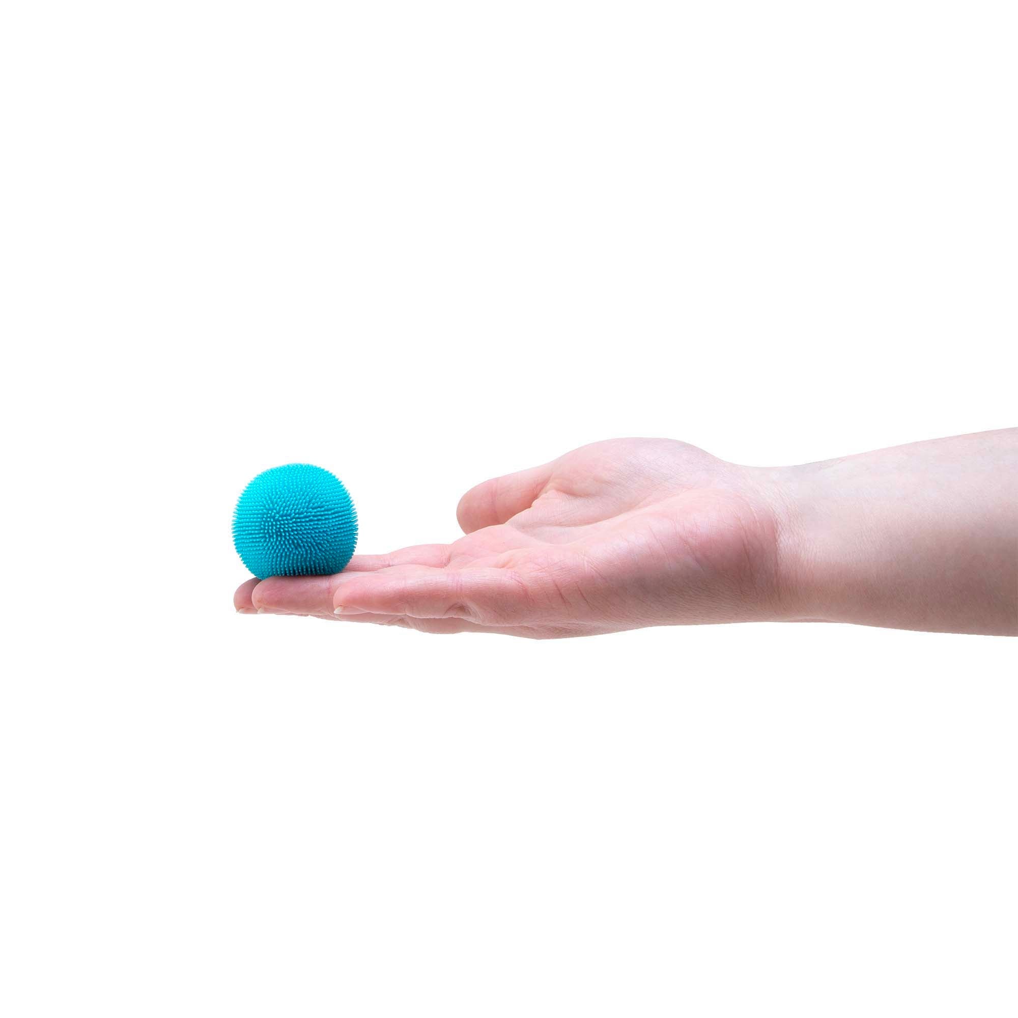 MPFZBND_Image4