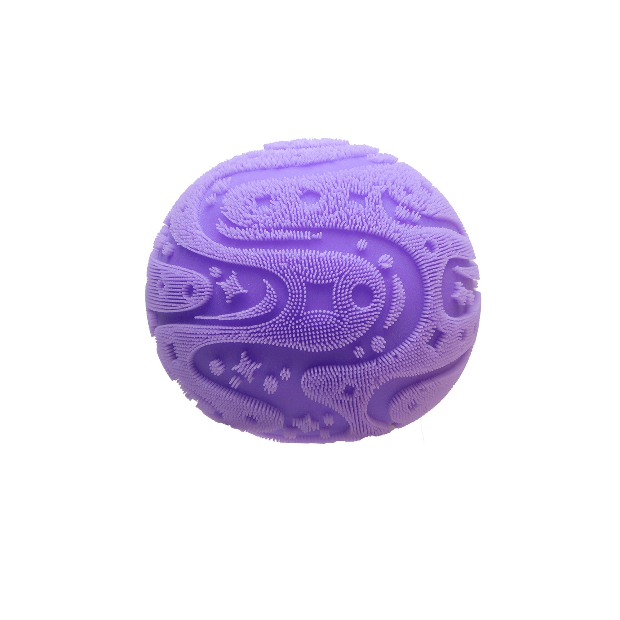 SFZBND_Image5